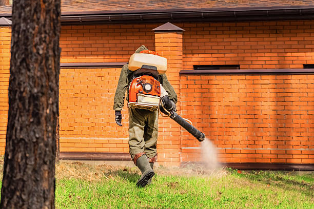 Trusted Mosquito Control service in Doney Park, AZ - Nex Pest Control